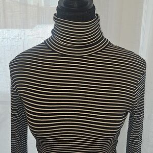 Zara Black and White Striped Cropped Turtleneck